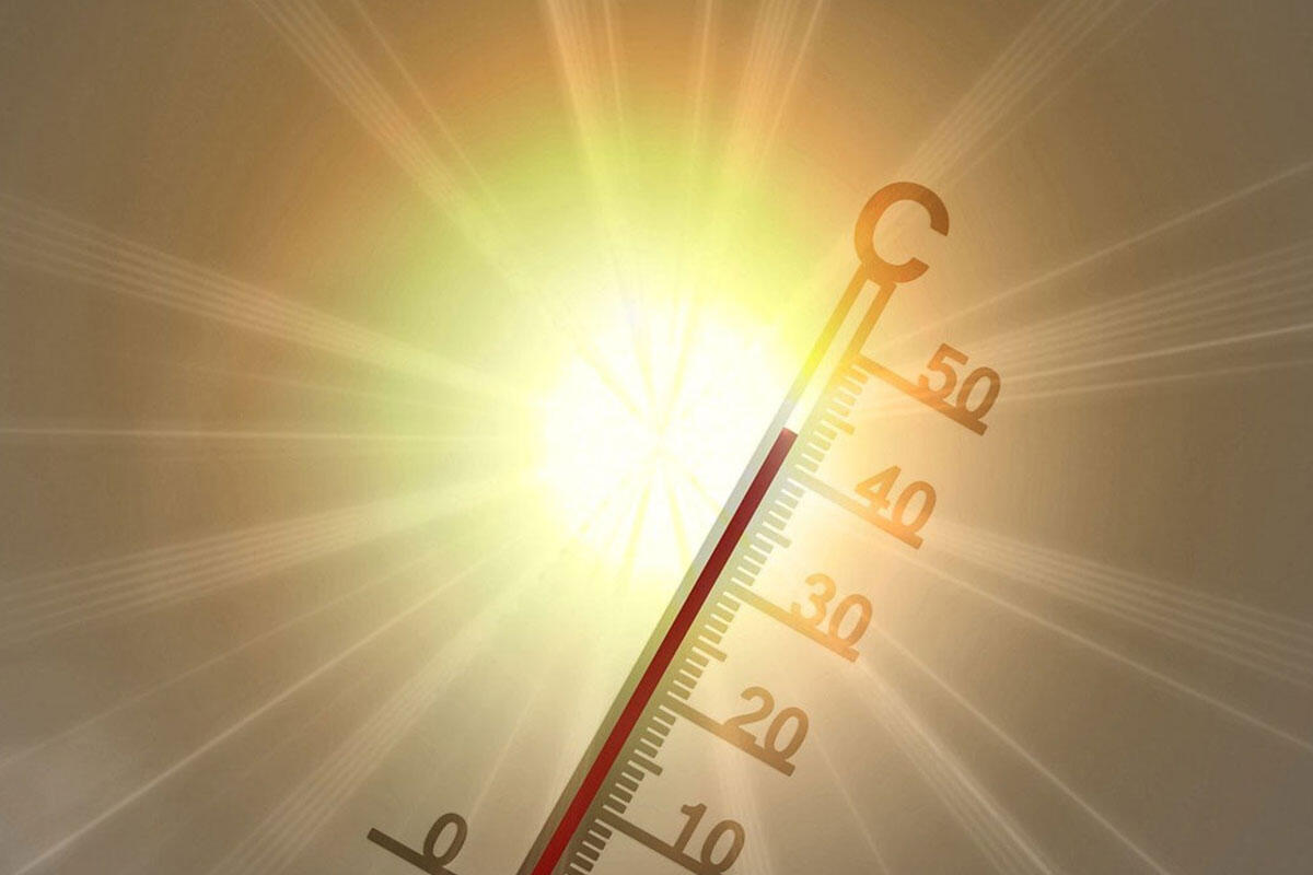 Stress da Caldo: Come Affrontare le Ondate di Calore Estive